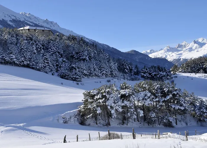 Goelia Les Flocons D'argent